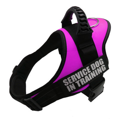 Personalized Reflective No-Pull Dog Harness – Adjustable, Breathable Vest for Small to Large Dogs - Purr & Bark Co