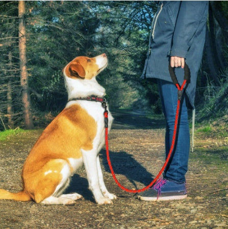 Reflective Nylon Dog Leash for Small to Large Dogs – Anti-Slip Handle, Training & Walking Rope - Purr & Bark Co