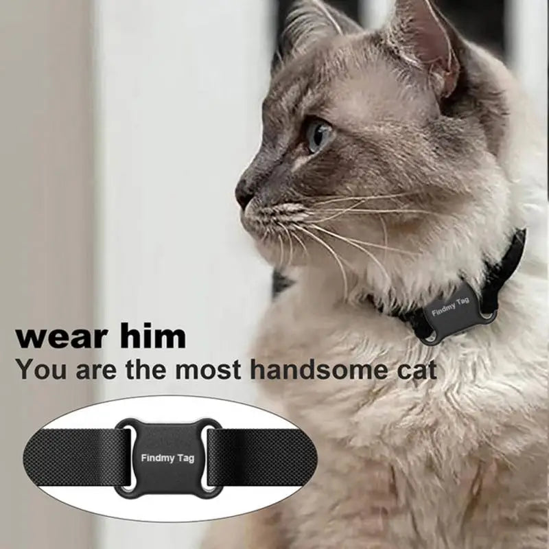 Mini Waterproof GPS Tracker for Cats & Dogs – Anti-Lost Bluetooth Locator with Long Battery Life - Purr & Bark Co