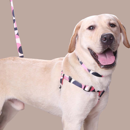 Adjustable Pet Collar, Leash & Harness Set – Durable Polyester, Comfortable Fit for Dogs & Cat